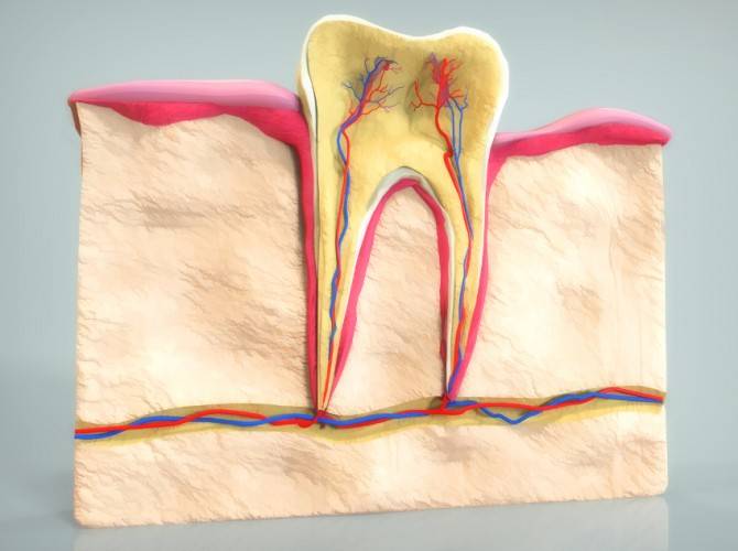 Воспаление нерва зуба: симптомы и лечение